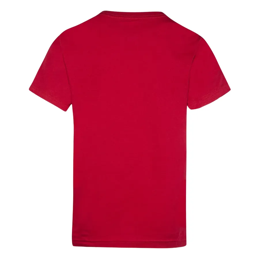 Jordan Practice Flight boy's short sleeve t-shirt 95A088-R78 red